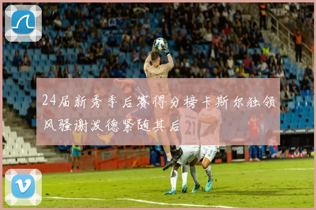 24届新秀季后赛得分榜卡斯尔独领风骚谢泼德紧随其后